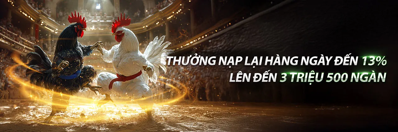 Đá Gà Trực Tuyến Hấp Dẫn tại Kingbet86 Chính Thức